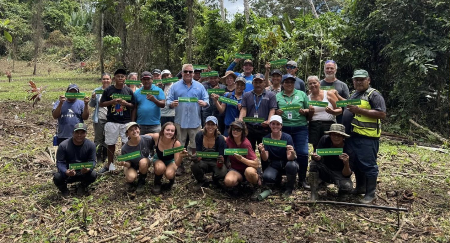 About thirty volunteers stand and kneel in a freshly planted clearing at the edge of the rainforest, each holding up a green bumper sticker that reads Trees are the answer.